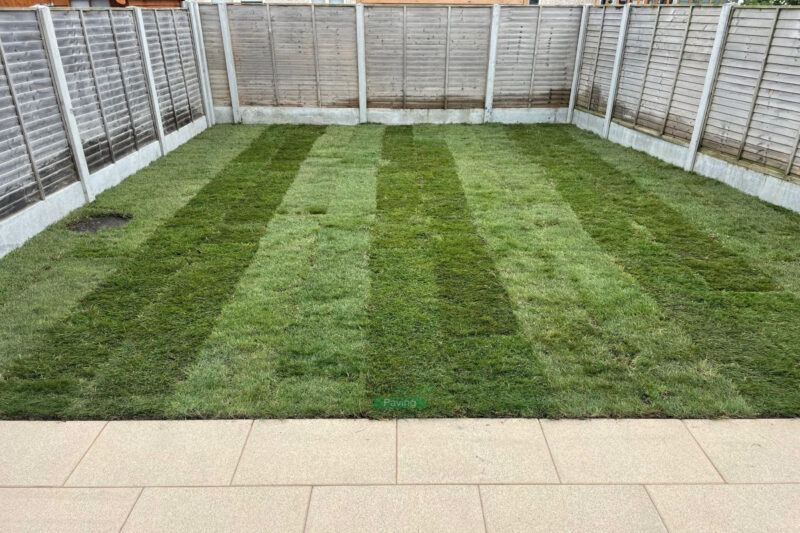 Lawn Turfing