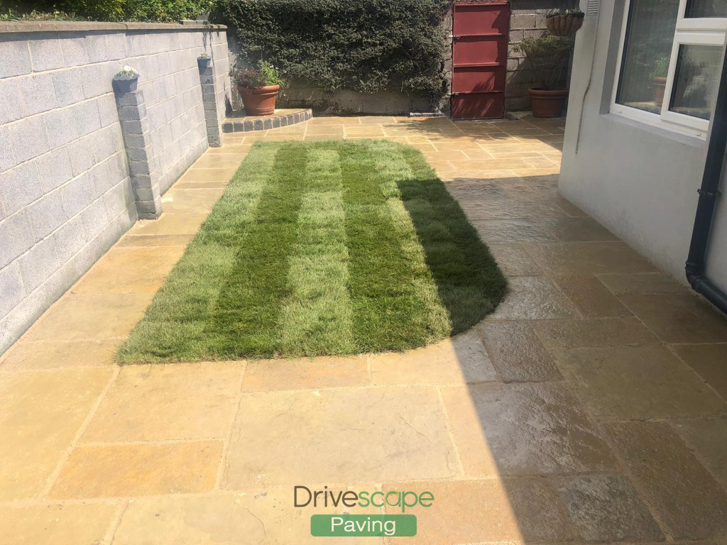 Lawn Turfing